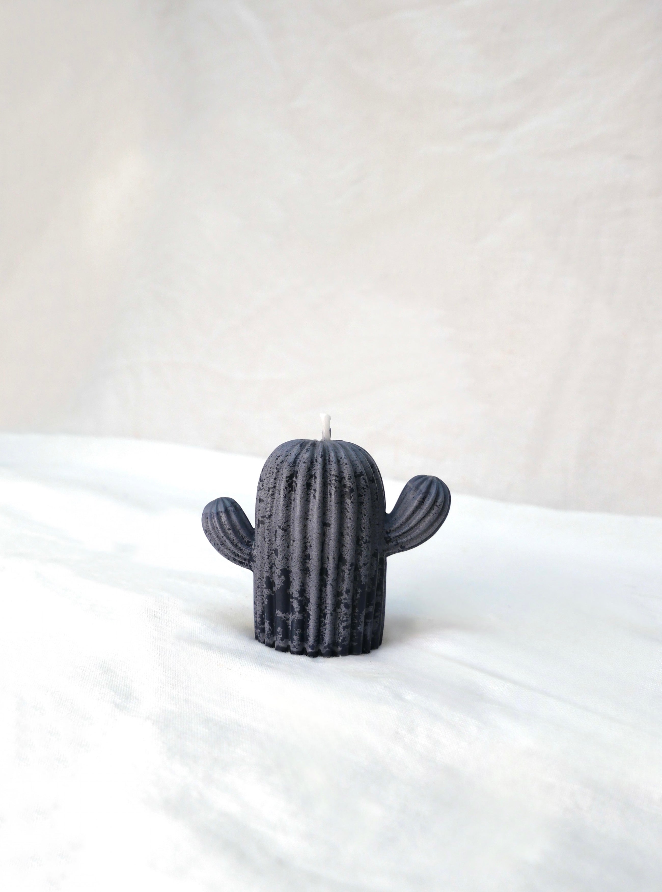Cactus Candle in Midnight Frost