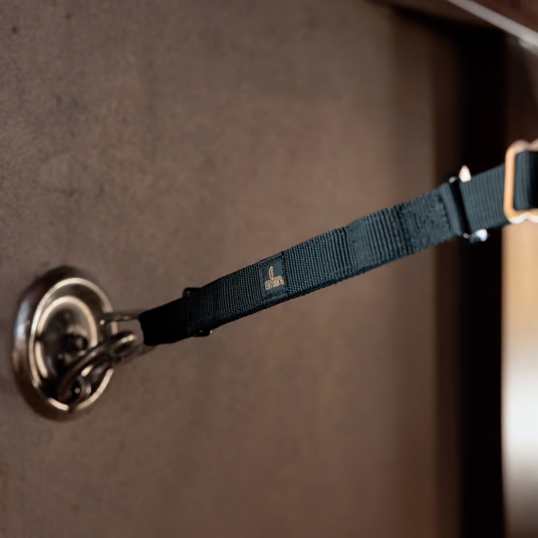 Detachable Safety Lead & Cross Tie with Panic Hook