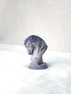 Horse Candle in Weathered Sky