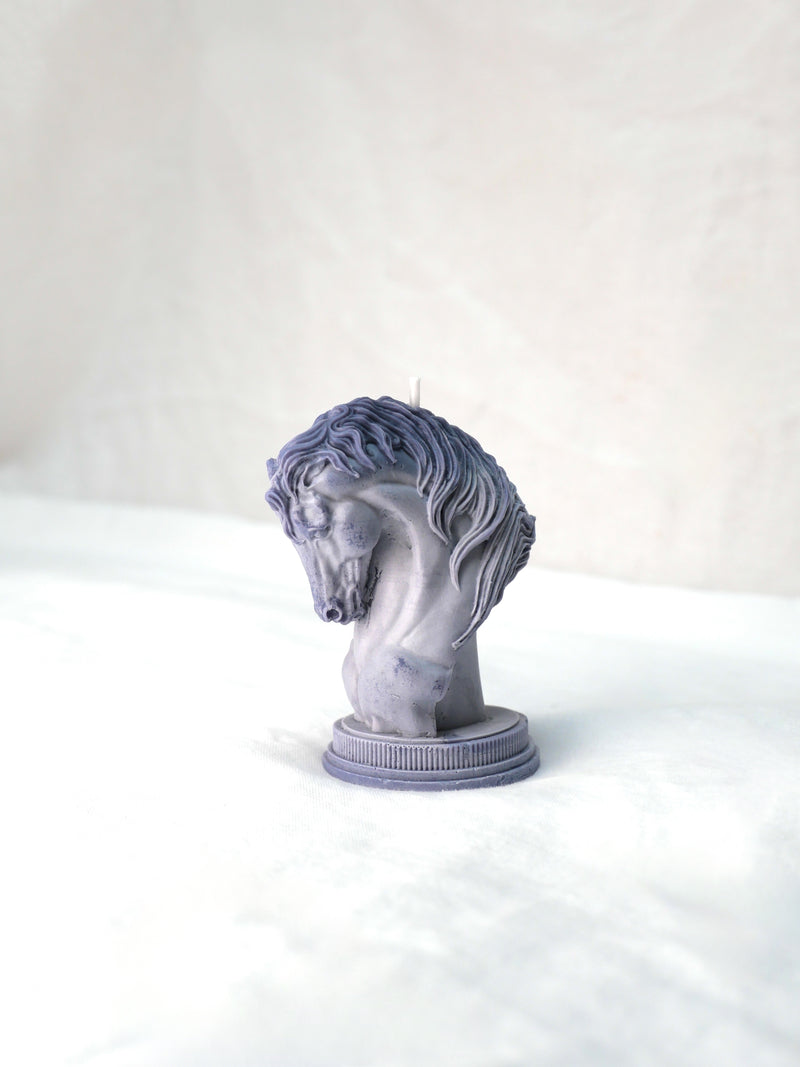 Horse Candle in Weathered Sky