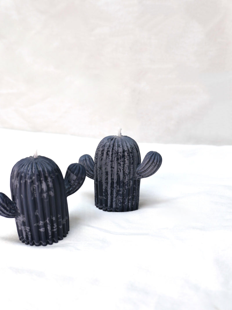 Cactus Candle in Midnight Frost