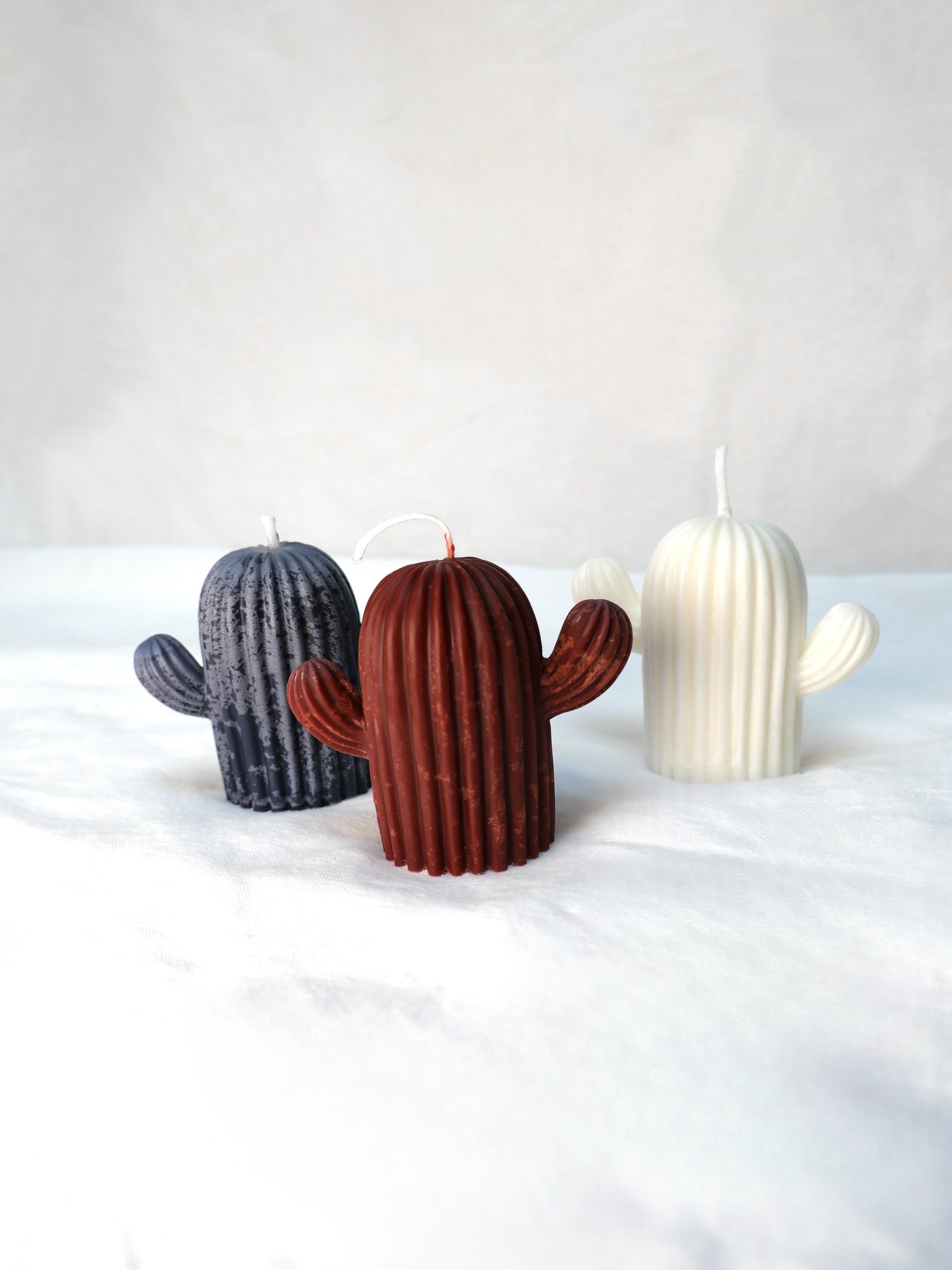 Cactus Candle in Heritage Brown