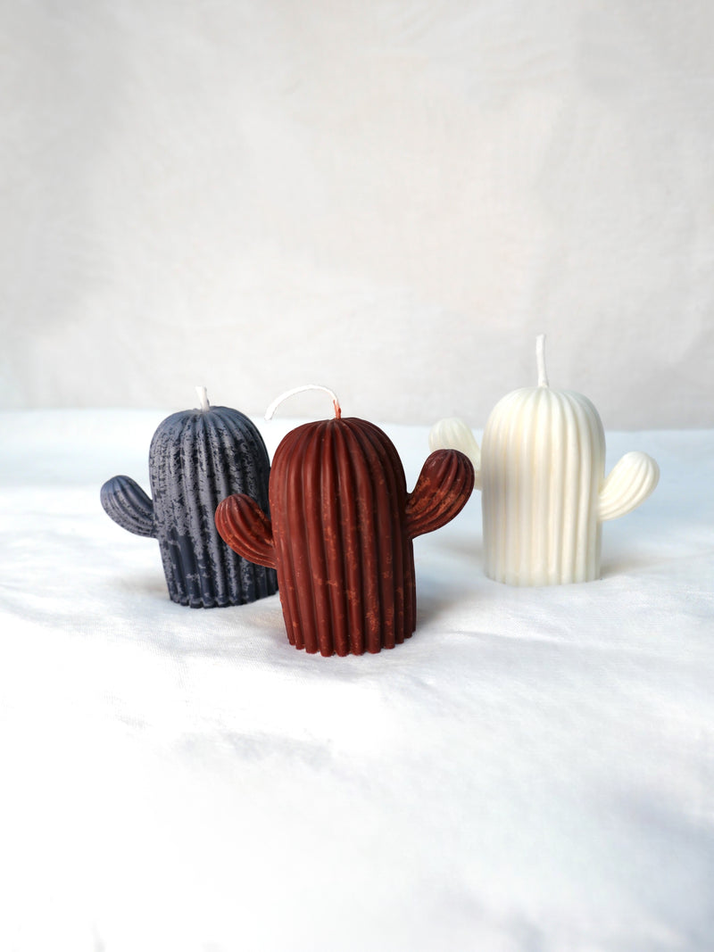 Cactus Candle in Heritage Brown
