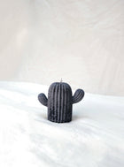 Cactus Candle in Midnight Frost