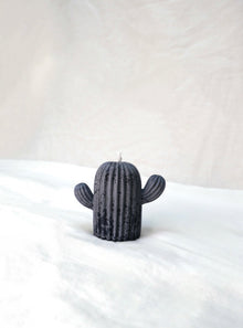 Cactus Candle in Midnight Frost