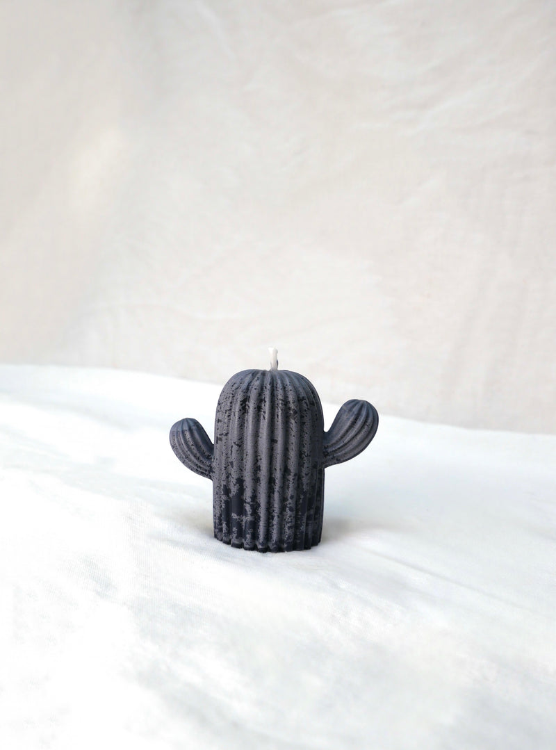 Cactus Candle in Midnight Frost
