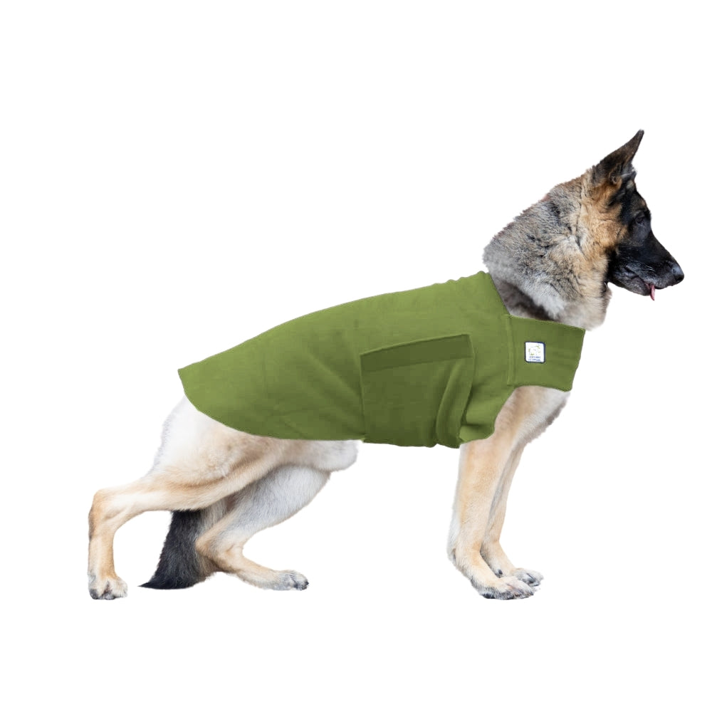 German Shepherd Tummy Warmer in Moss
