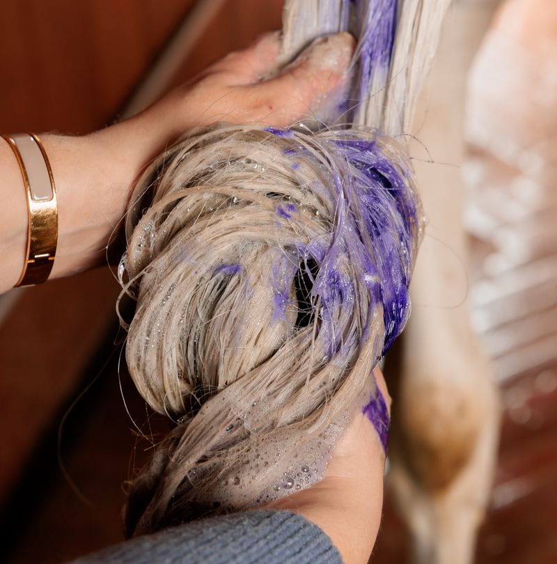 Almond Purple Shampoo