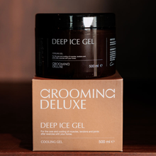 Deep Ice Gel