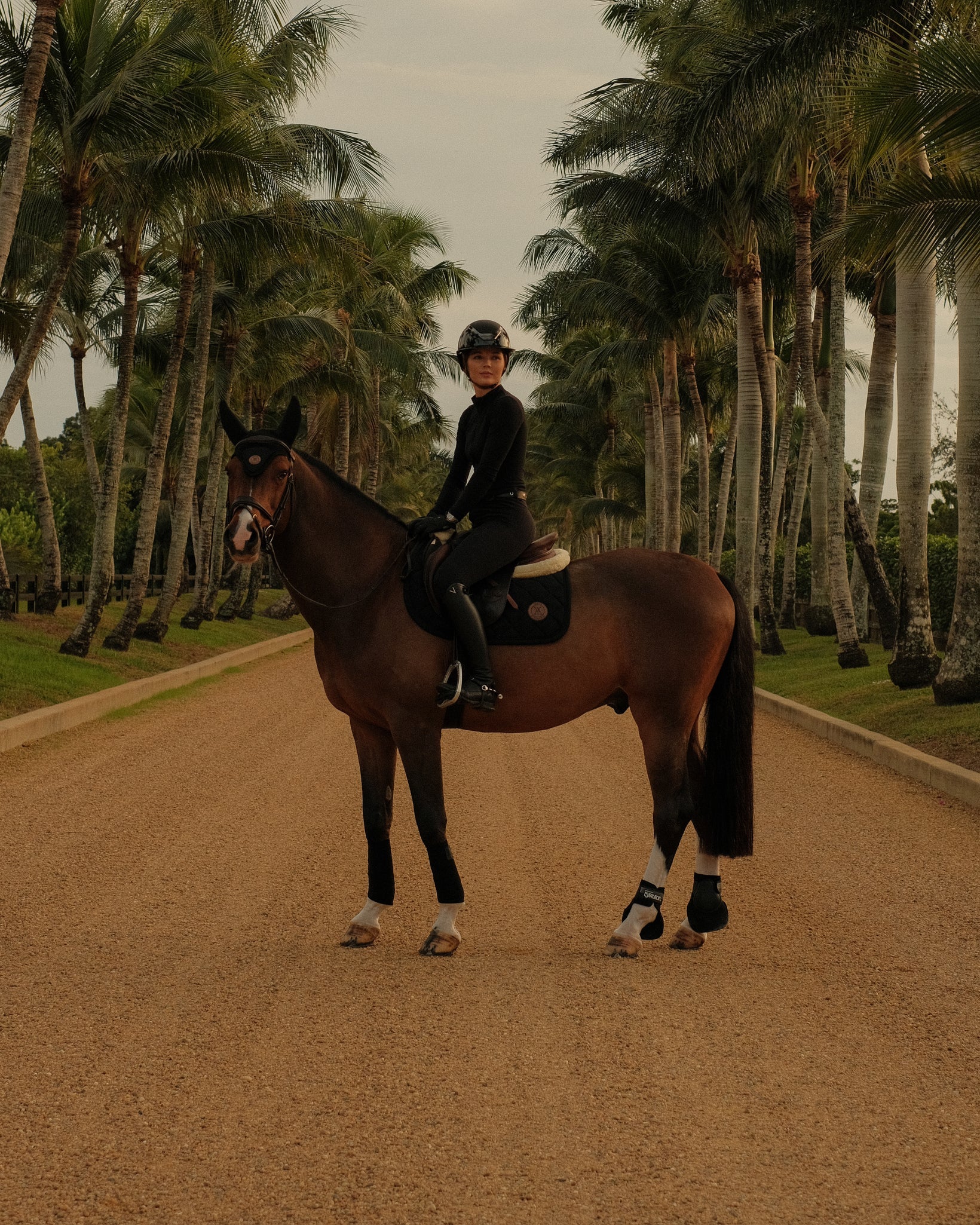 Performance Saddle Pad in Black