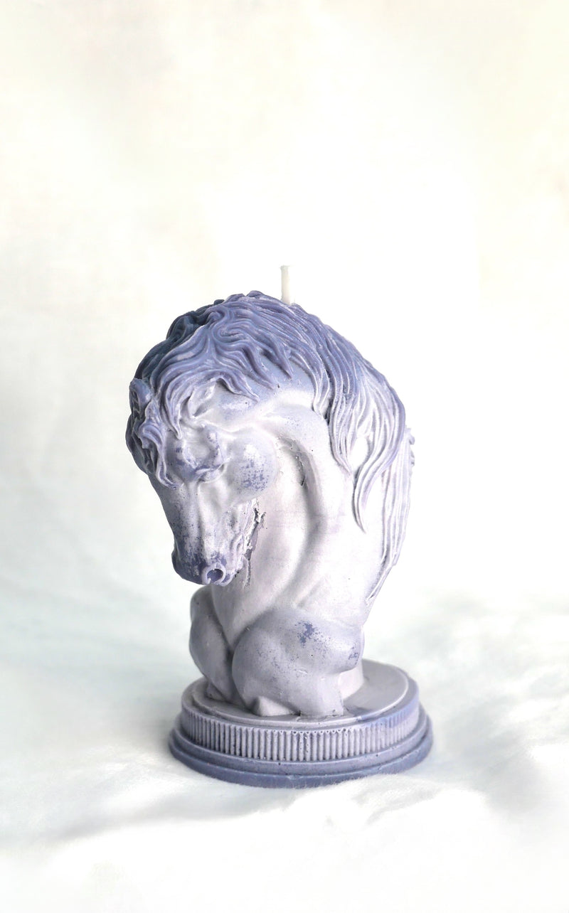 Horse Candle in Weathered Sky