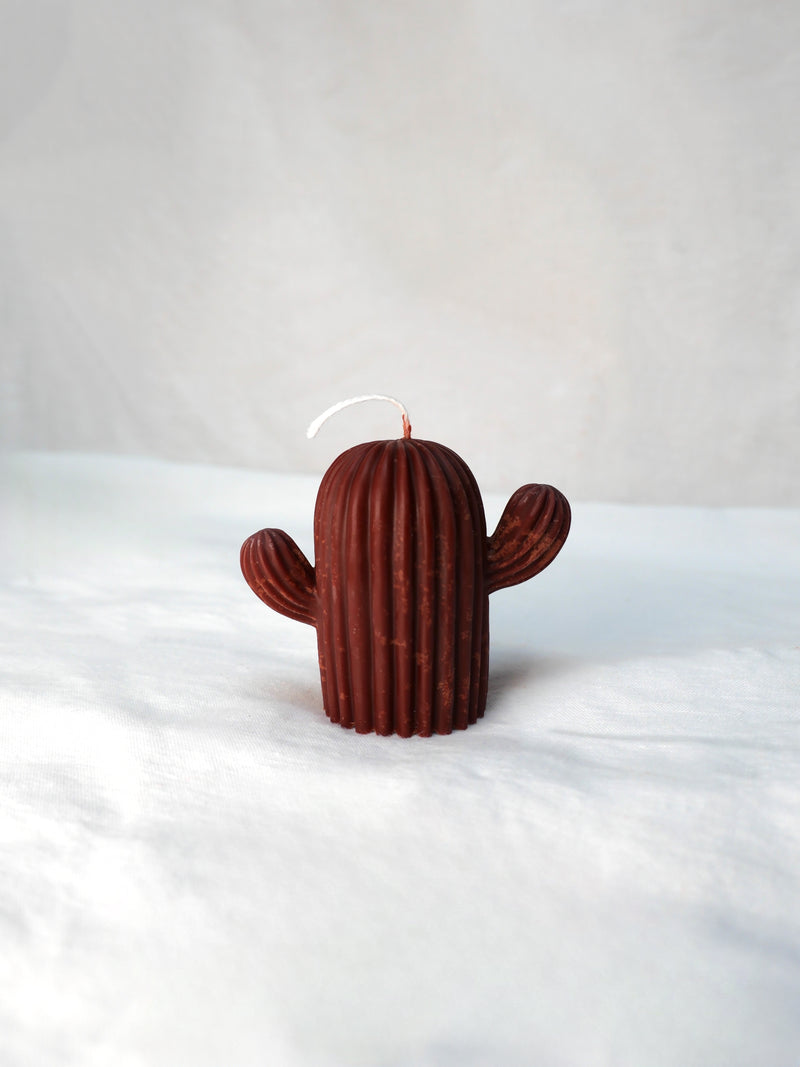 Cactus Candle in Heritage Brown