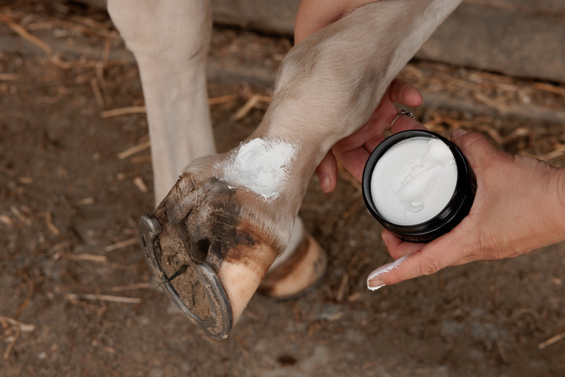 Mud Fever Cream