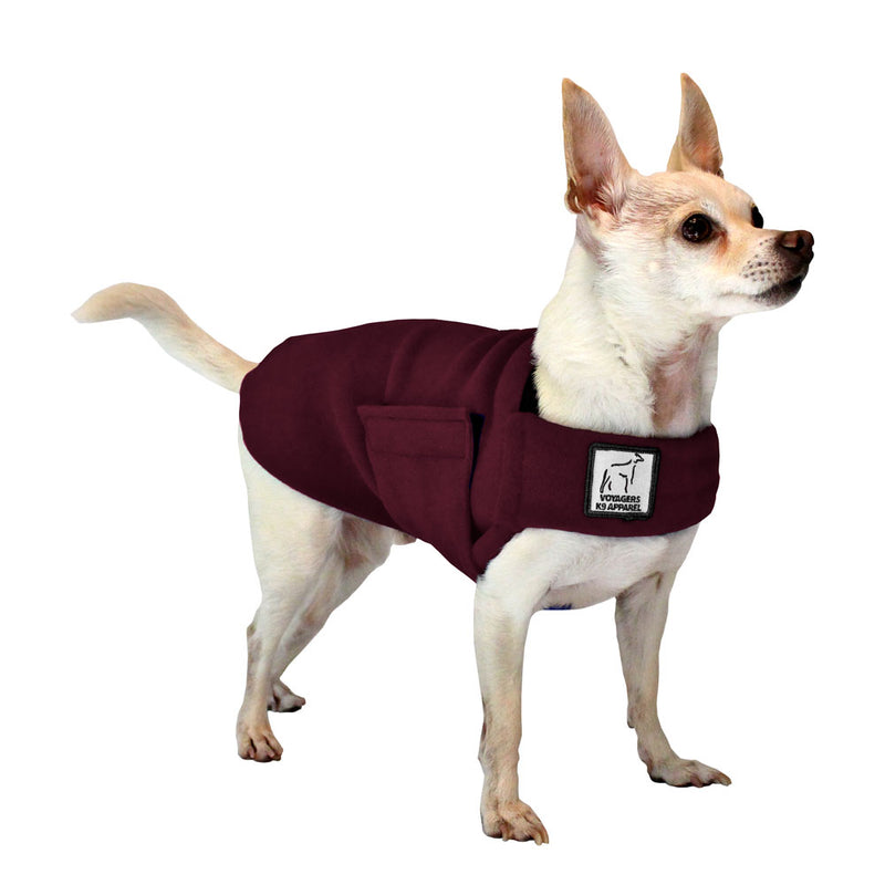 Chihuahua Tummy Warmer in Burgundy