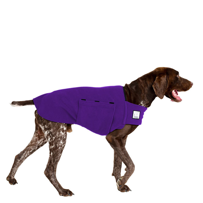 German Shorthaired Pointer Tummy Warmer in Purple