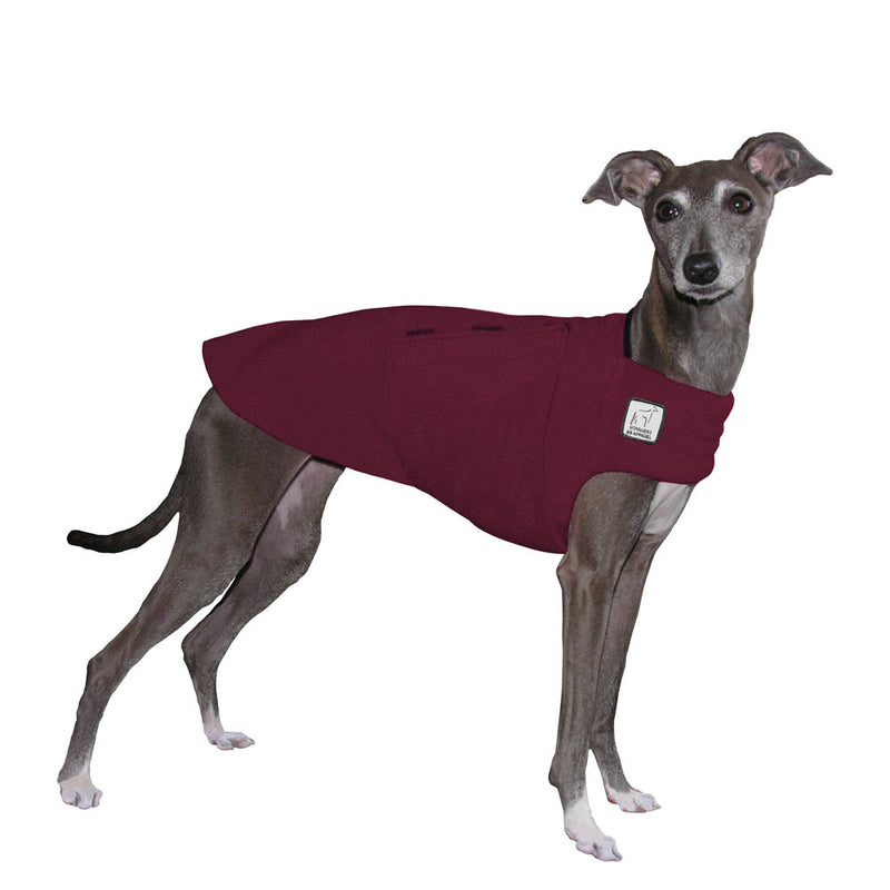 Italian Greyhound Tummy Warmer in Burgundy