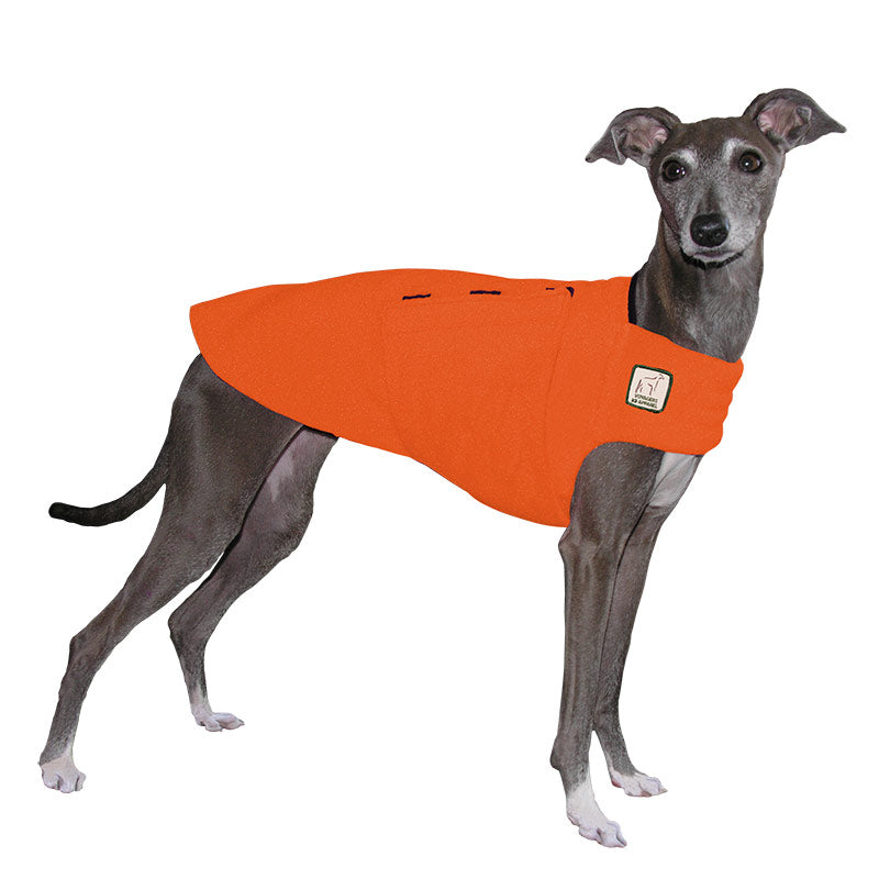 Italian Greyhound Tummy Warmer in Orange