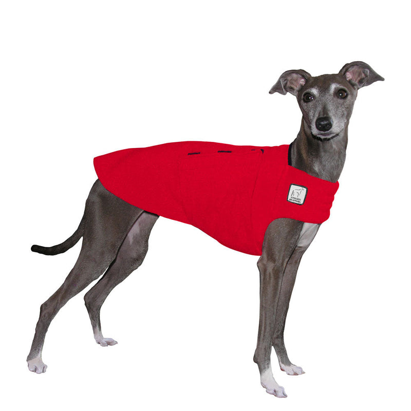 Italian Greyhound Tummy Warmer in Red