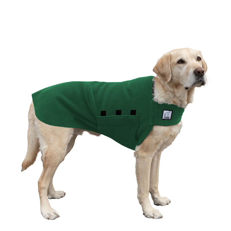 Labrador Retriever Tummy Warmer in Green