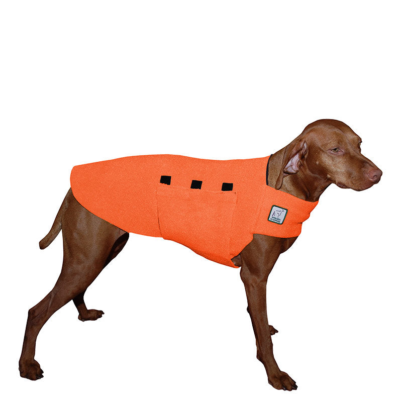 Vizsla Tummy Warmer in Orange