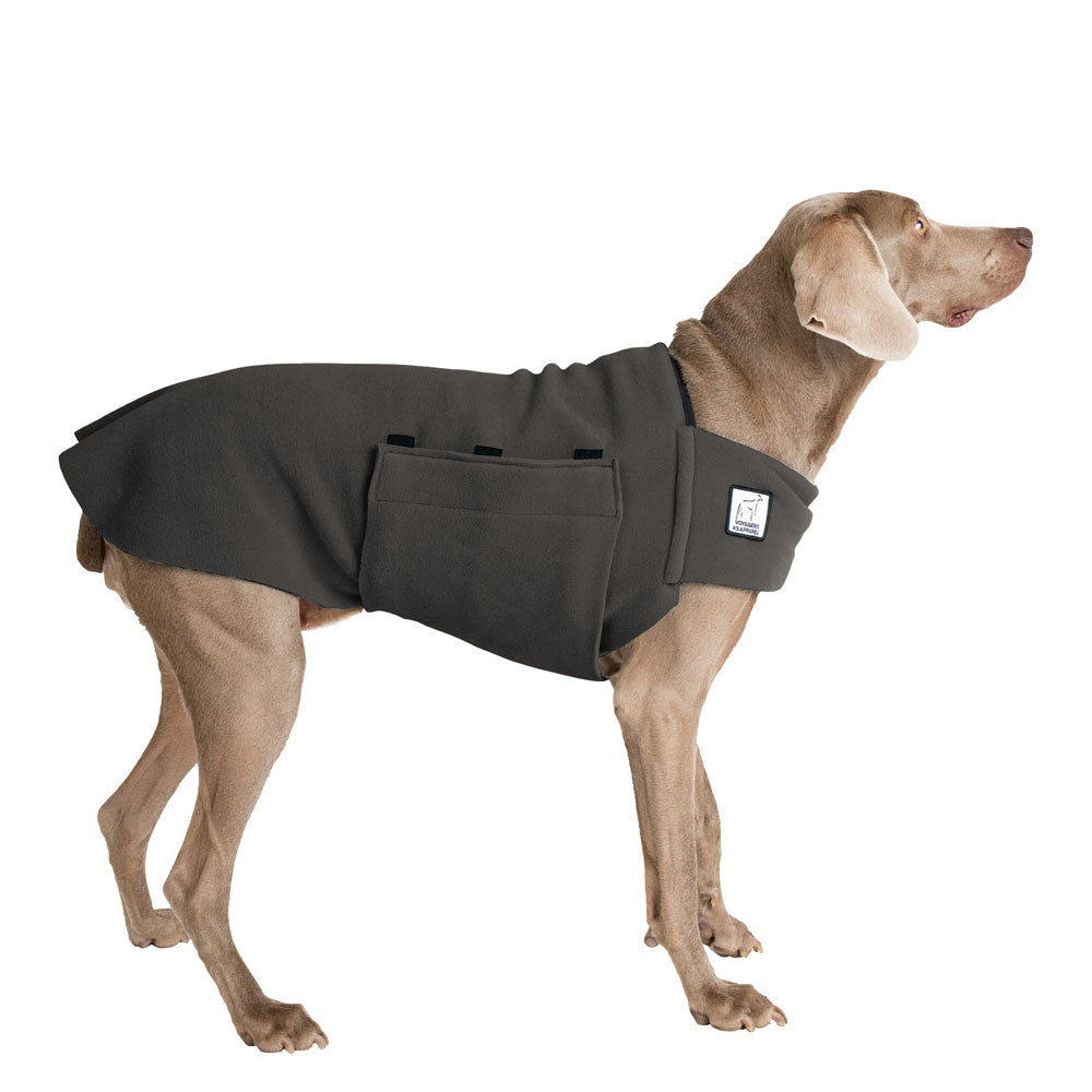 Weimaraner Tummy Warmer in Nightfall