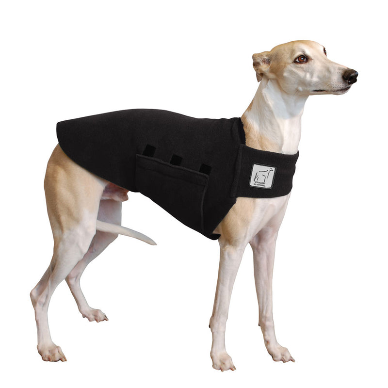 Whippet Tummy Warmer in Black