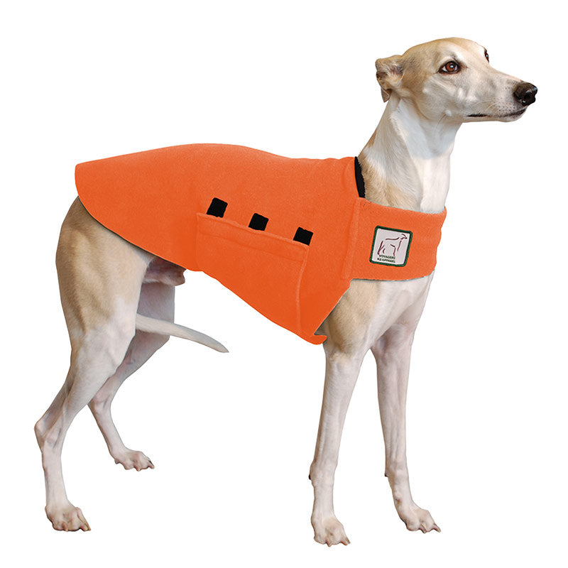 Whippet Tummy Warmer in Orange
